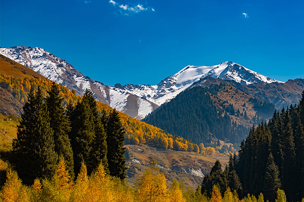 Music of Mointains