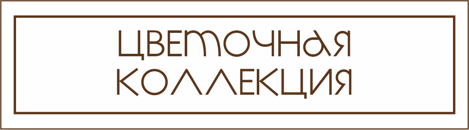 Историческая коллекция